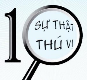 10 sự thật thú vị về ngày quốc khánh của Mỹ - HaHa Travel