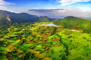 Vẻ đẹp của cánh đồng lúa.