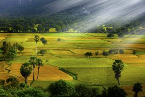 Một nơi không thể bỏ qua khi du lịch miền tây.