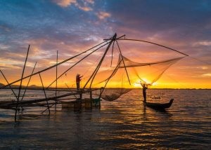 Mùa nước nổi là mùa của tôm cá – du khách đừng bỏ qua đặc sản này khi du lịch Đồng Tháp Mười nhé!