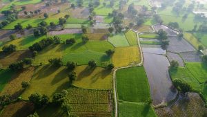 Khung cảnh đẹp như tranh vẽ của cánh đồng Tà Pạ