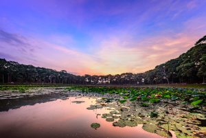 Đây là nơi thú vị trong hành trình du lịch miền tây.