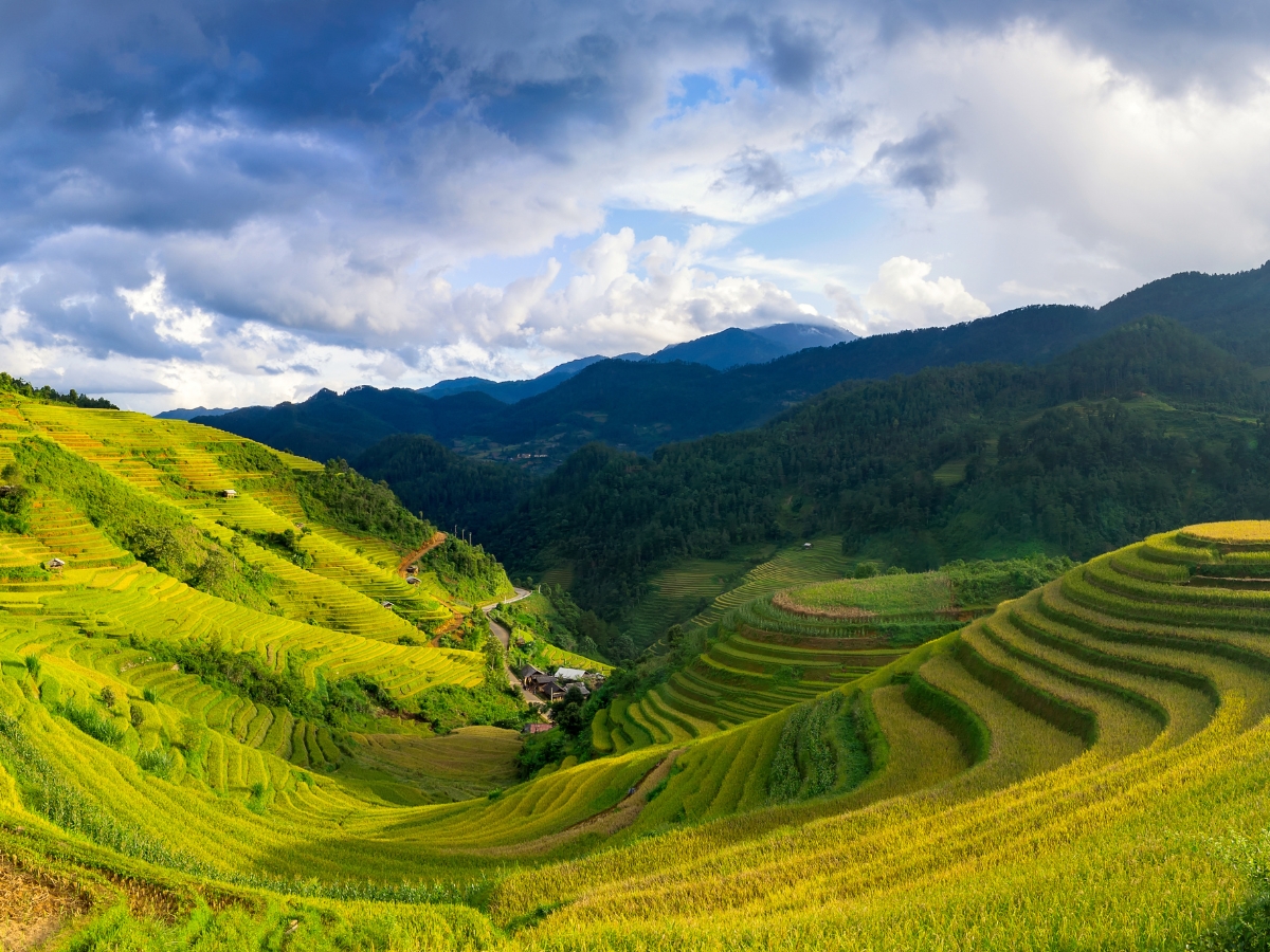 NGHĨA LỘ - TÚ LỆ - KHÂU PHẠ - LA PÁN TẨN – MÙ CANG CHẢI (4 NGÀY 3 ĐÊM) - Ảnh 4
