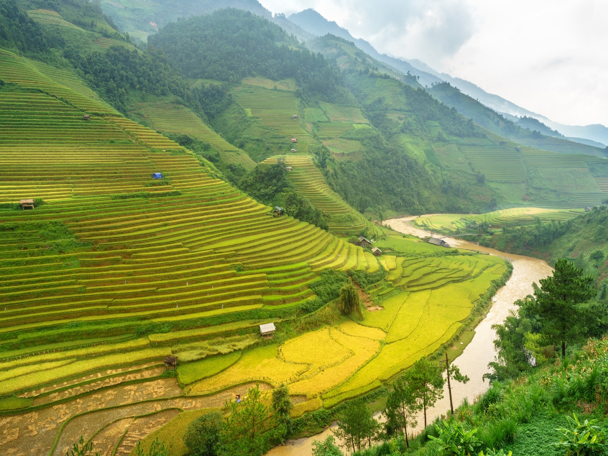 NGHĨA LỘ - TÚ LỆ - KHÂU PHẠ - LA PÁN TẨN – MÙ CANG CHẢI (4 NGÀY 3 ĐÊM) - Ảnh 5