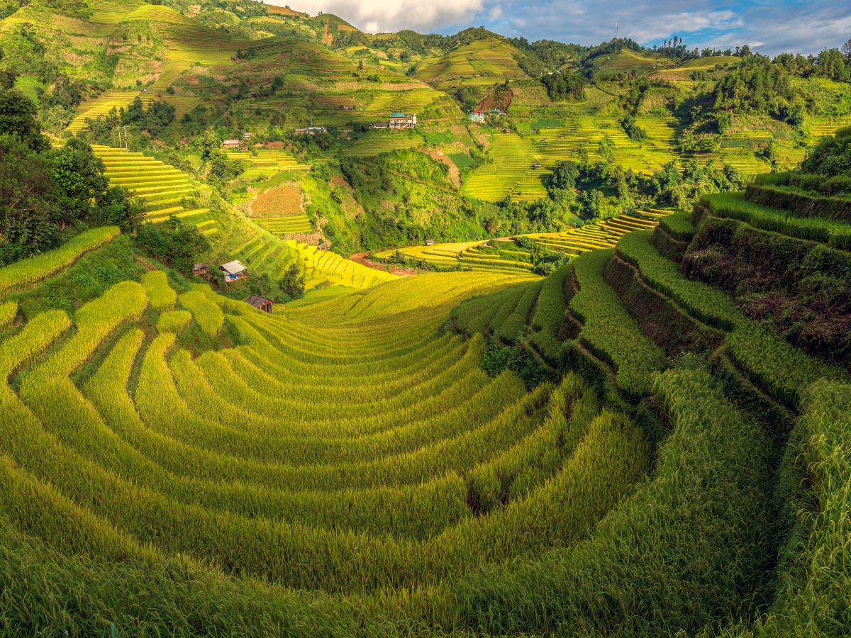 NGHĨA LỘ - TÚ LỆ - KHÂU PHẠ - LA PÁN TẨN – MÙ CANG CHẢI (4 NGÀY 3 ĐÊM) - Ảnh 6