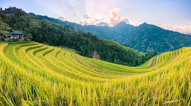 Kinh nghiệm du lịch Hà Giang tự túc 3 ngày 2 đêm cụ thể