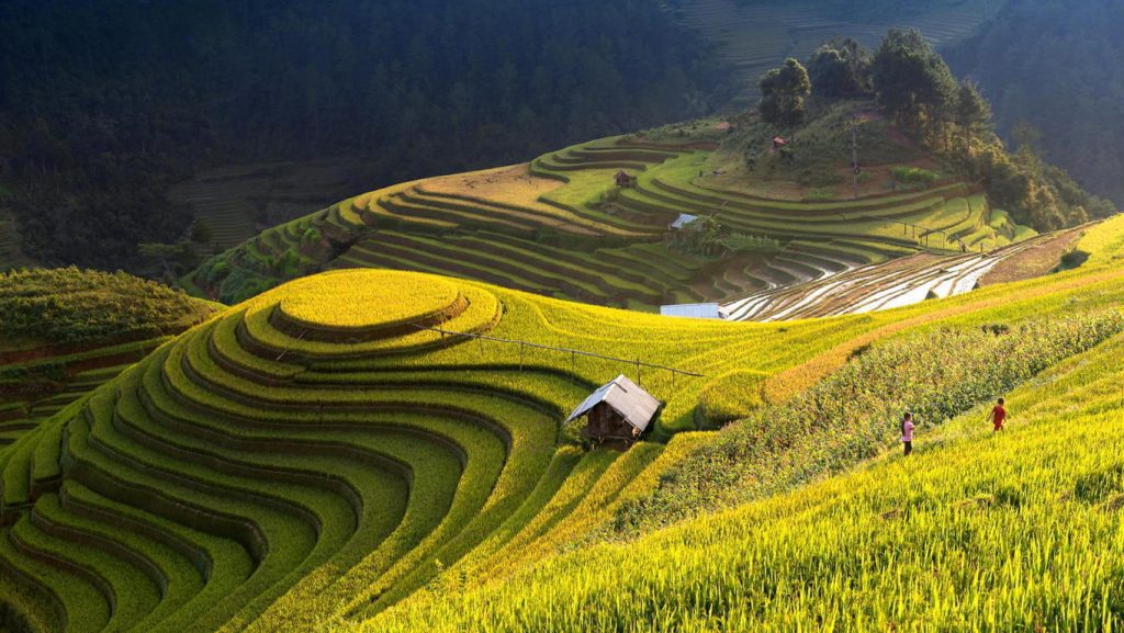 Kinh nghiệm du lịch Hà Giang 4 ngày 3 đêm chi tiết mới nhất
